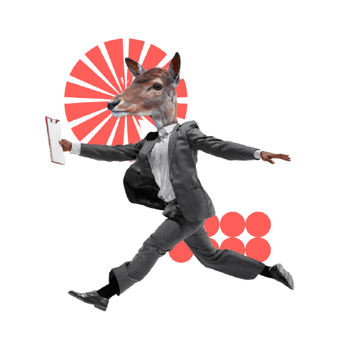 1649a537cf5428cc94523d3d1805edd3-removebg-preview(1)